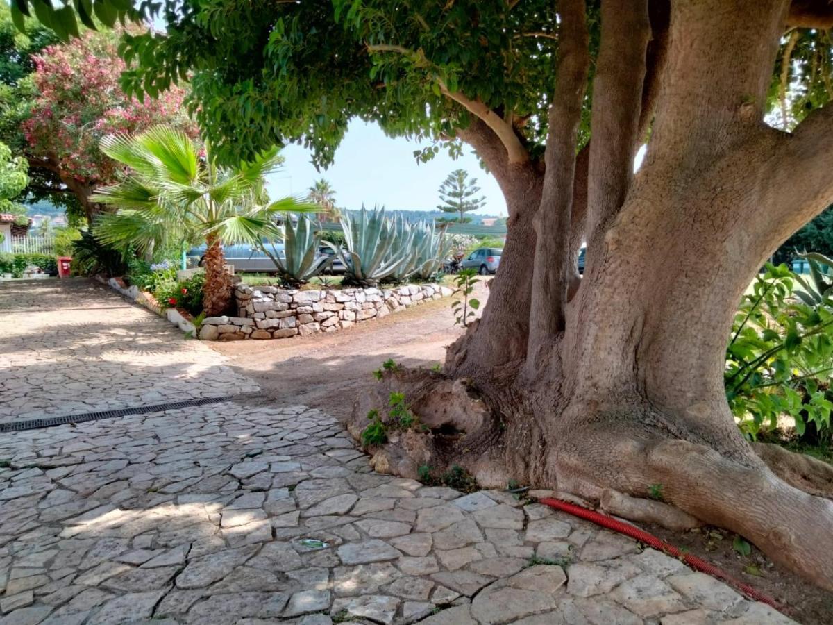 Residence Araba Fenice Tropea Kültér fotó